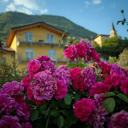 Apart Otel La Collina